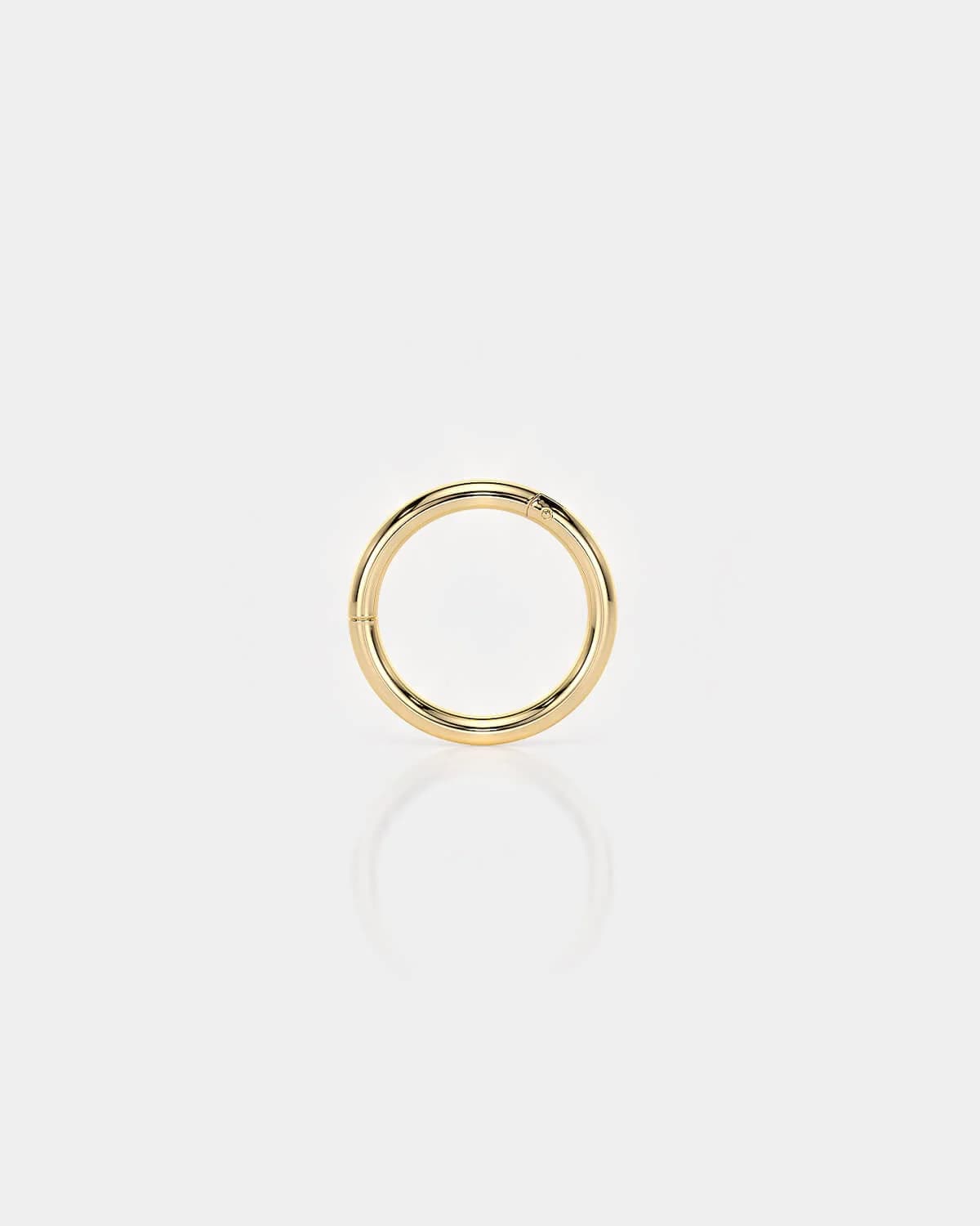HINGED RING | TITANIUM | 24k GOLD